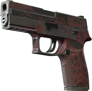 P250 | Загрязнитель