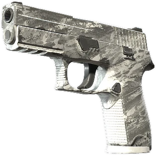 P250 | Sleet