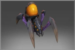 Amber Queen's Spiderling