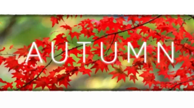 Autumn — обложка