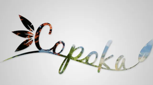 Copoka — обложка