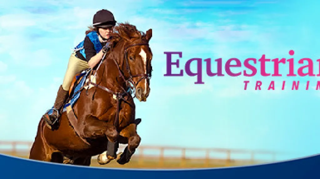 Equestrian Training — обложка