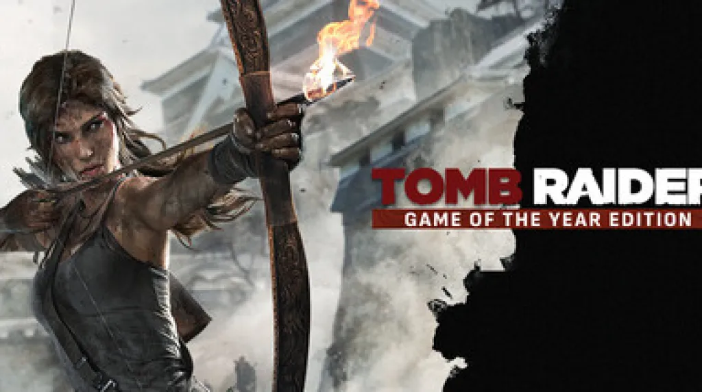 Tomb Raider Game of the Year — обложка